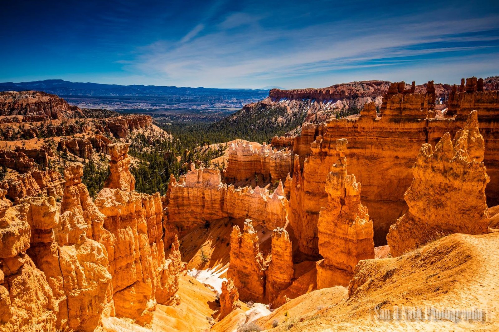 Bryce in Afternoon