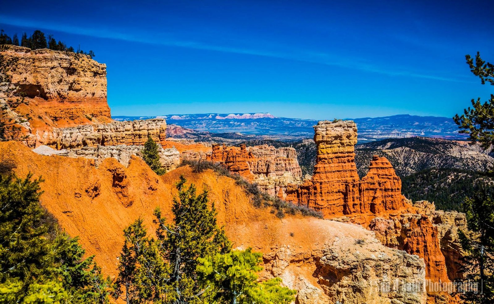 Bryce Temple